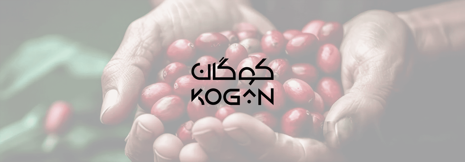 kogan+slider+1+copy.webp